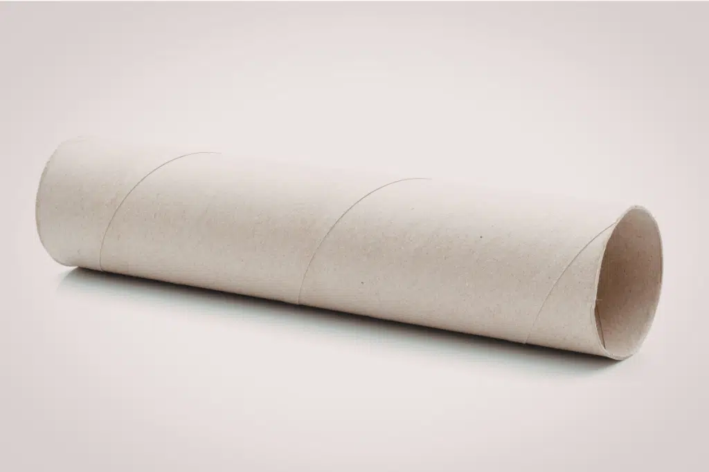 Empty Paper Towel roll Photo Credit Canva Pro Stock Image