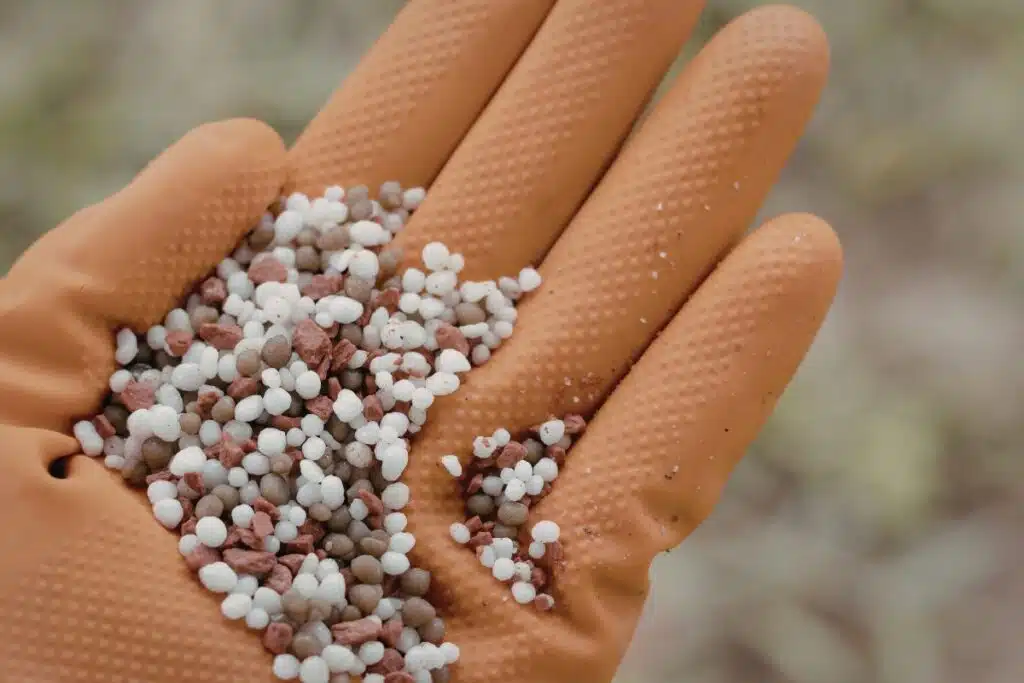 Garden plant fertilizer Photo Credit Canva Pro Stock Image