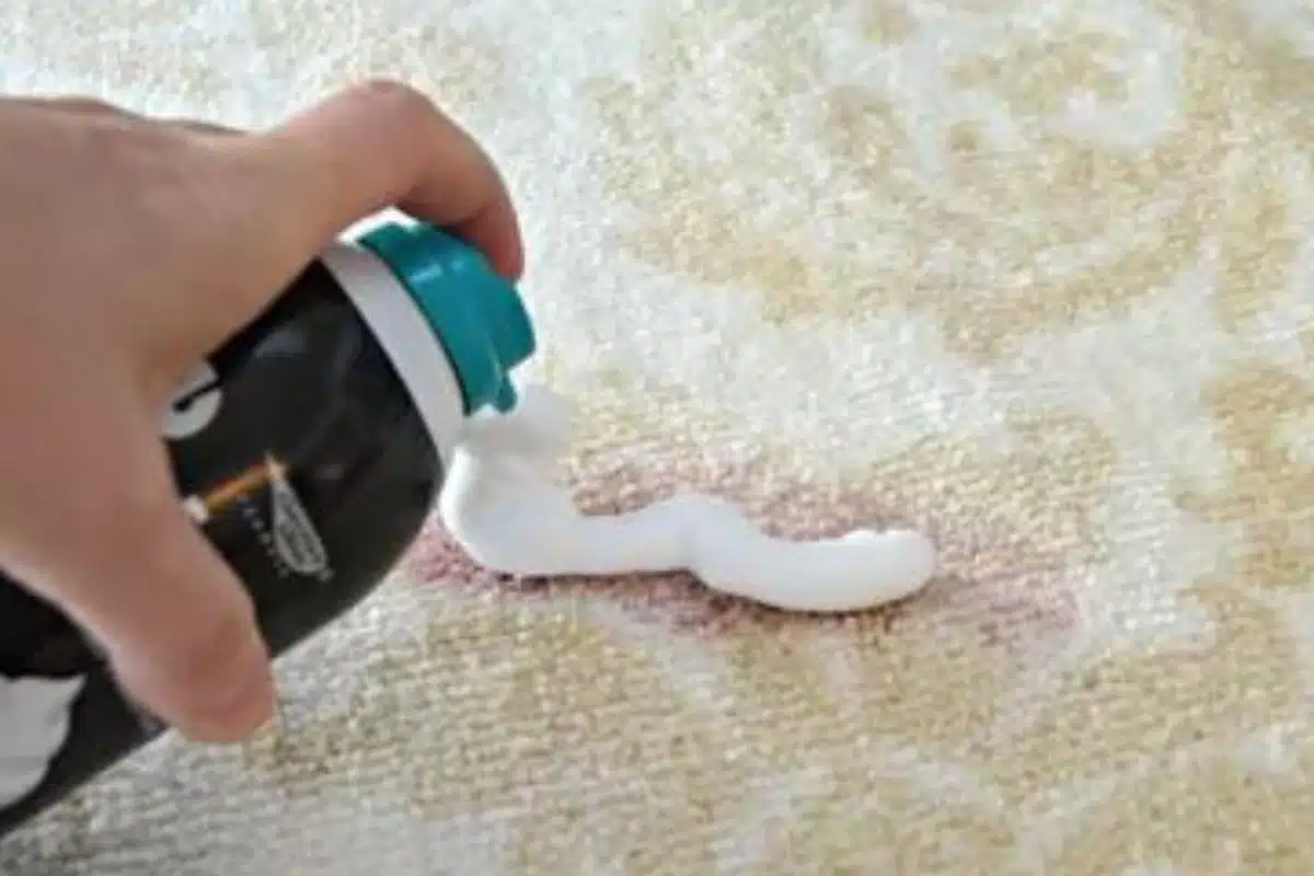 Shaving Carpet Stain Photo Credit Pinterest