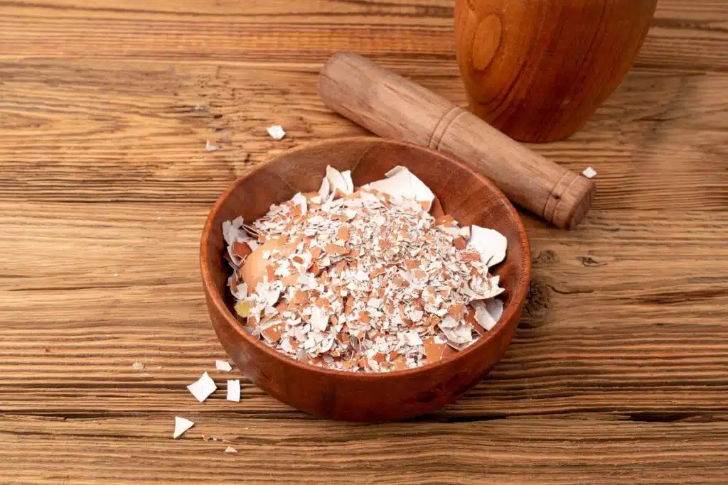 crushed eggshells Photo Credit Canva Pro Stock Images