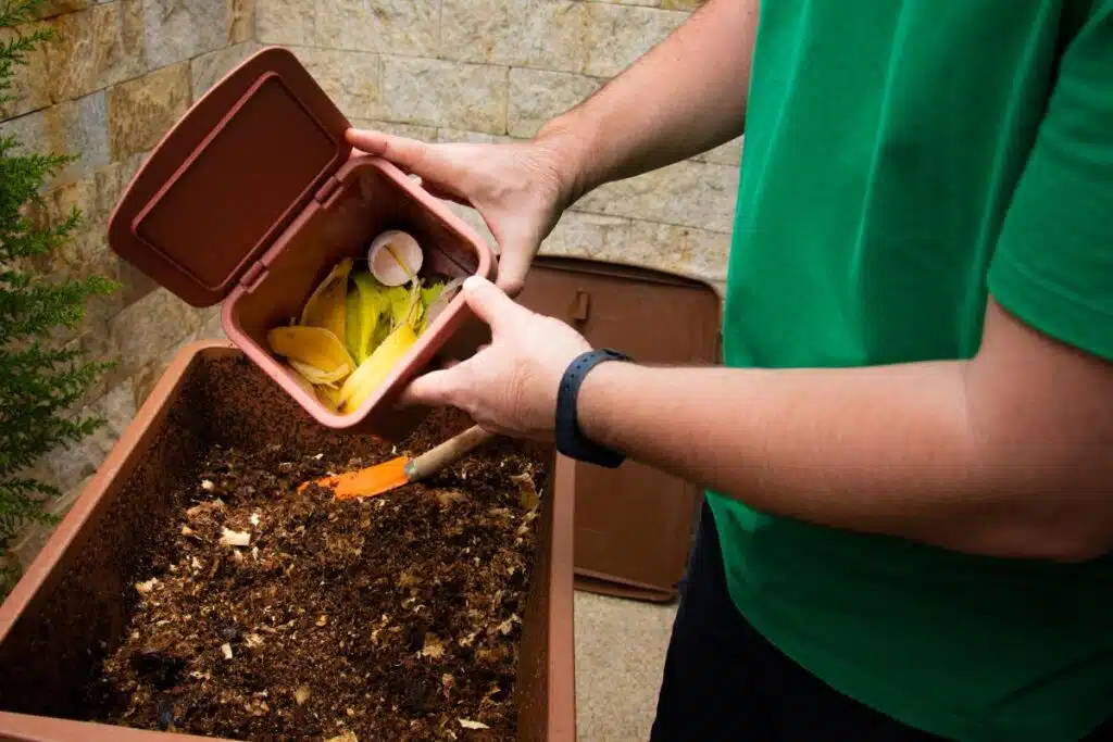 eggshells compost Photo Credit Canva Pro Stock Images
