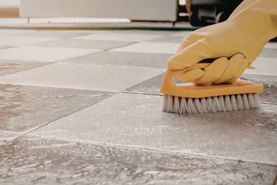 scrub brush Photo Credit Canva Pro Stock Image