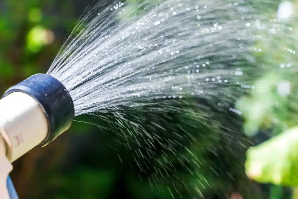 watering garden Photo Credit Canva Pro Stock Image