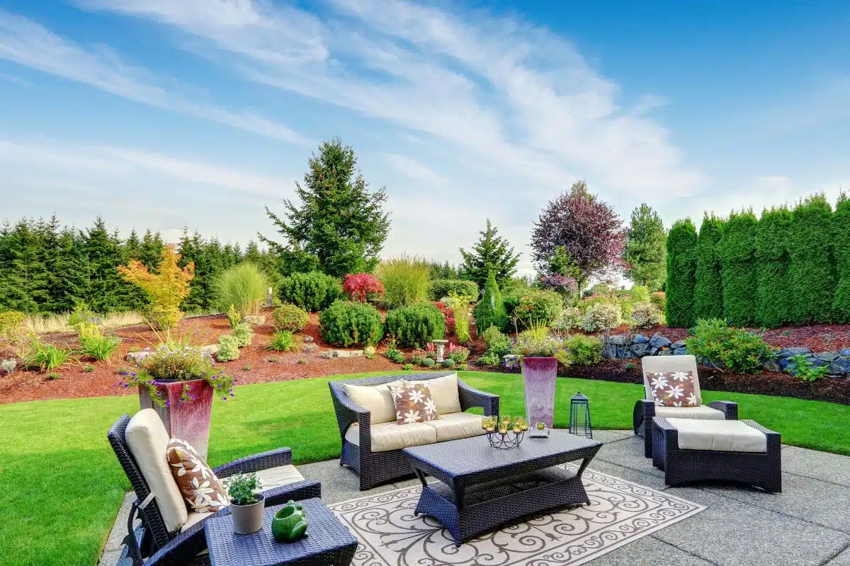 Backyard Credit Canva Pro Stock Image