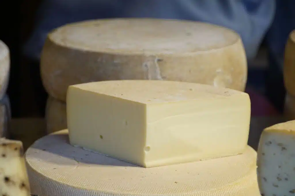 Fontina Cheese Image Credit Canva Pro Stock Image