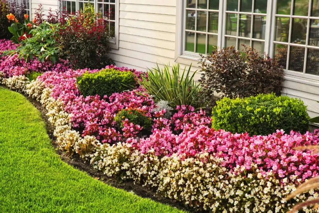 Garden edge Image Credit Canva Pro Stock Image