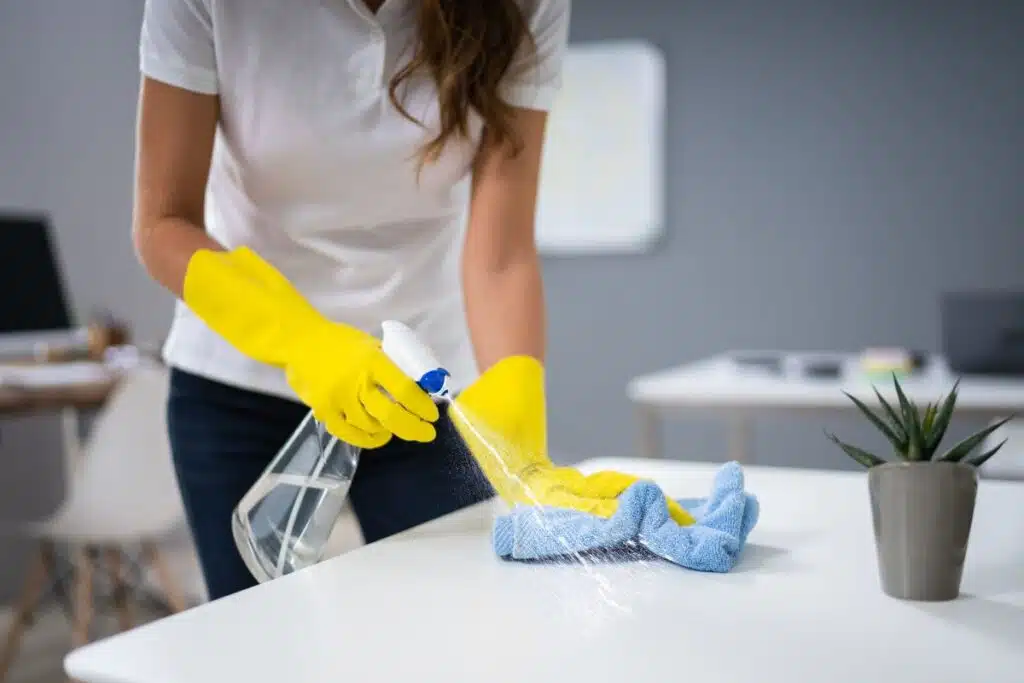 Kitchen spray cleaner Image Credit Canva Pro Stock Image