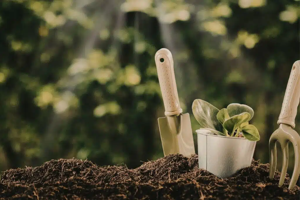 gardening Photo Credit Canva Pro Stock Image