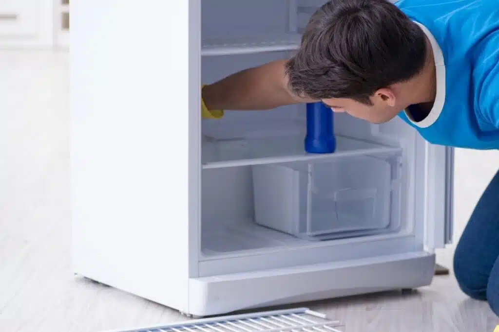 Cleaning fridge Photo Credit Canva Pro Stock Image