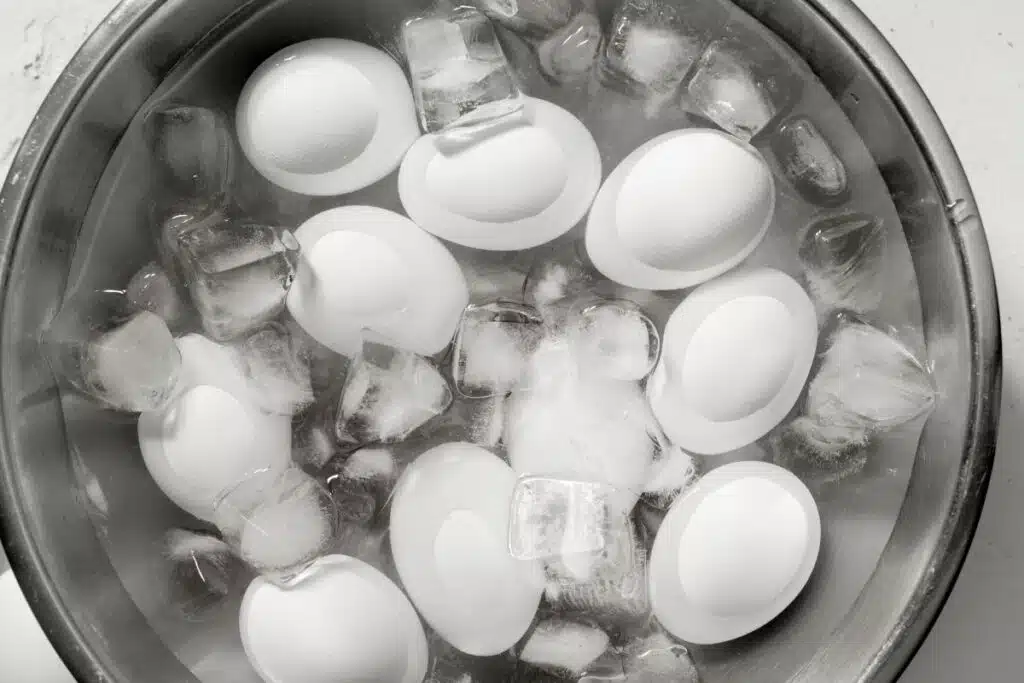 Eggs Ice Bath Photo Credit Canva Pro Stock Image
