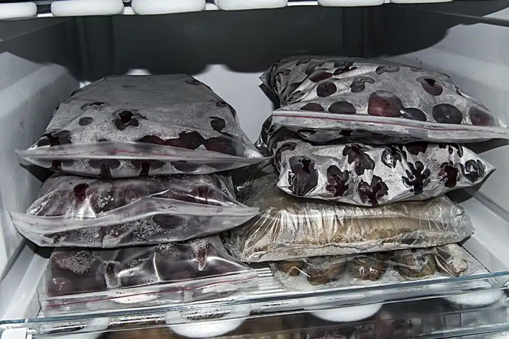 Wrapped Food for Freezing Photo Credit Canva Pro Stock Image