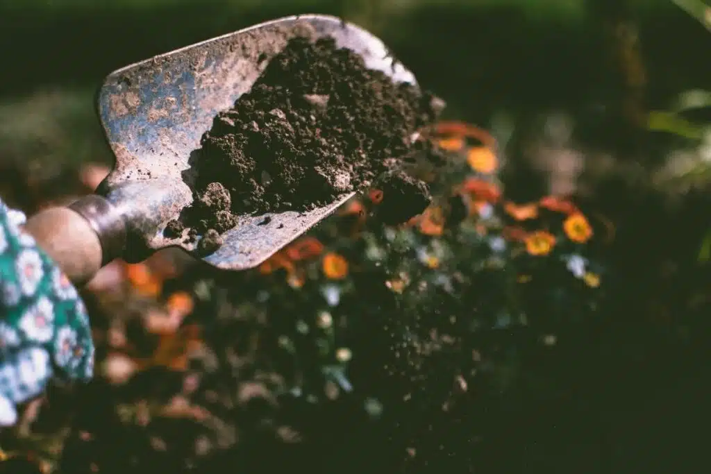 Garden tool shovel dirt Photo Credit Canva Pro Stock Image