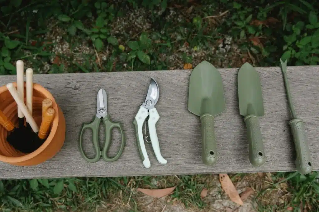Garden tools on bench Photo Credit Canva Pro Stock Image